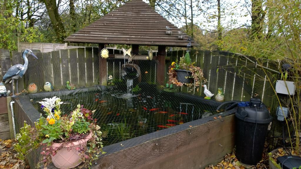 Fern Farm *