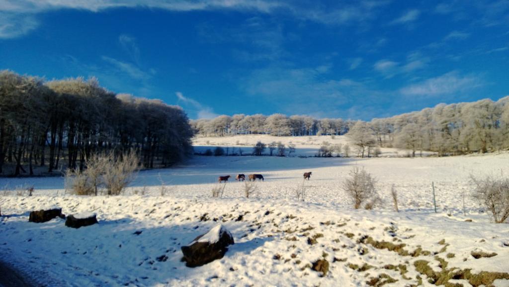 Fern Farm * Buxton (Derbyshire)